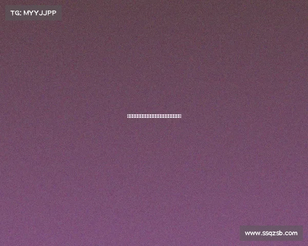 经验老将引领团队创新突破，共同书写辉煌篇章